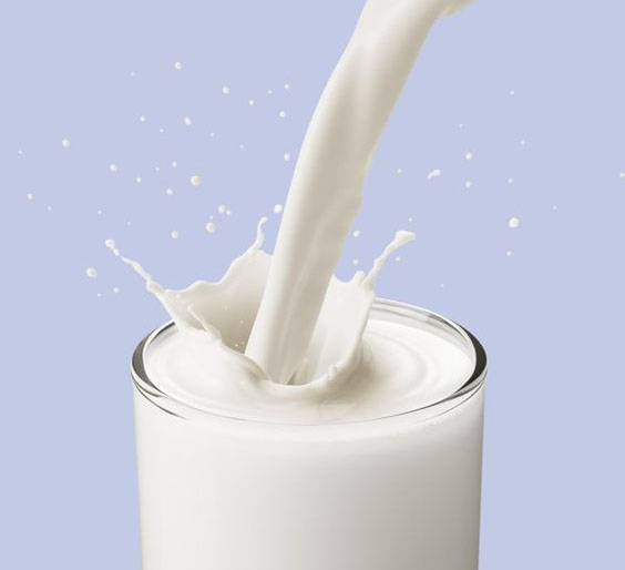 Explore the delectable world of Freshta's dairy products. From creamy Sri Lankan curd to fresh, pure milk and a delightful variety of yoghurts, our farm-to-table selections bring you the essence of Sri Lanka's dairy goodness. Discover the taste of tradition, quality, and health in every spoonful.