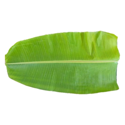 Banana-leaf