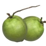 Kurumba