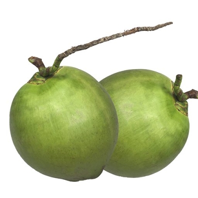 Kurumba