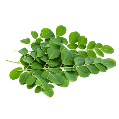 Moringa-Leaves